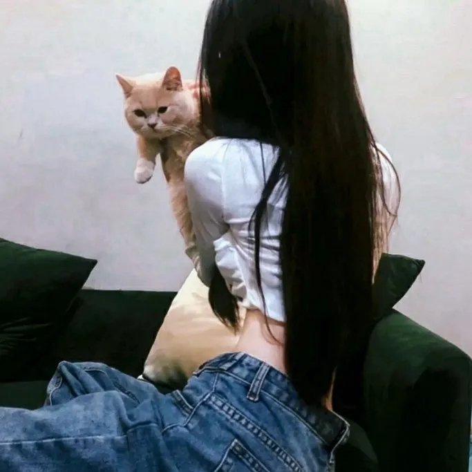 狐之歌